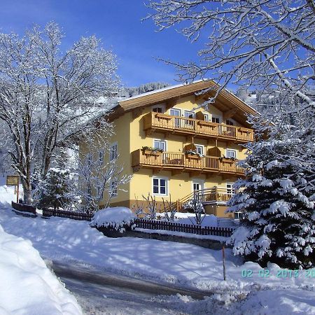 Appartements - Haus Sieberer Бріксен-ім-Тале Екстер'єр фото